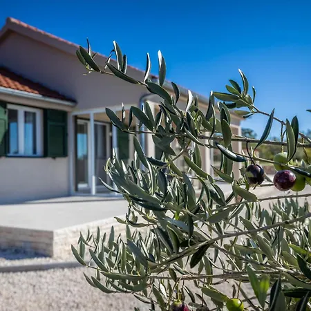 וילה Oliveto With Pool Donji Kasic