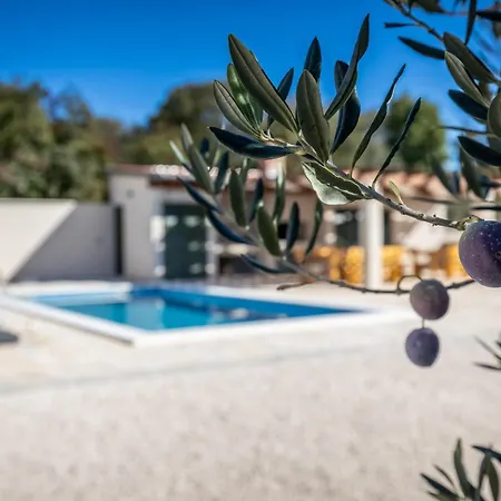 Oliveto With Pool Villa Donji Kasic