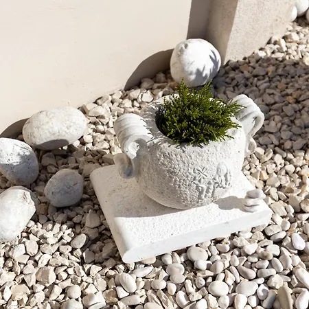 Oliveto With Pool Villa