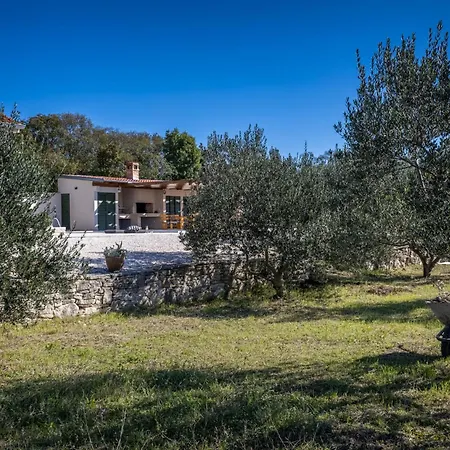 Oliveto With Pool * Donji Kasic