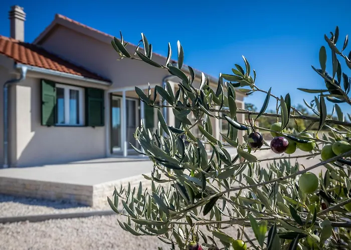 Вилла Oliveto With Pool Donji Kasic