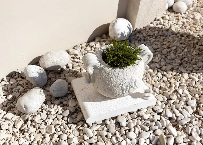 Oliveto With Pool Вилла