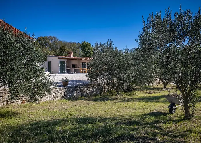 Oliveto With Pool * Donji Kasic