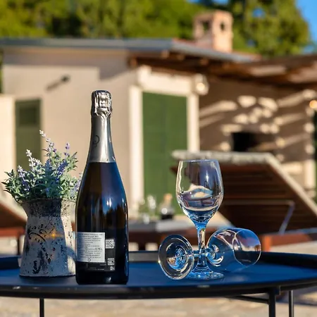 Oliveto With Pool Donji Kasic