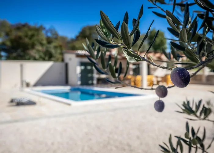 Oliveto With Pool Villa Donji Kasic